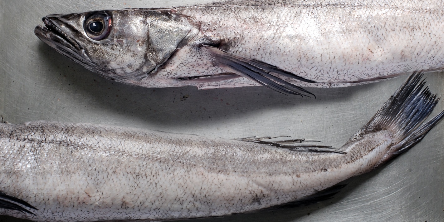 a-ojo-hake-with-red-pepper-sauce