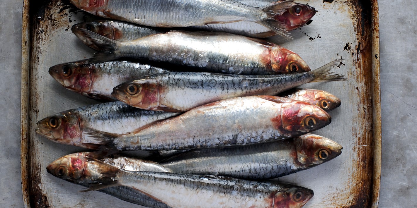 How to Cook Sardines Great British Chefs