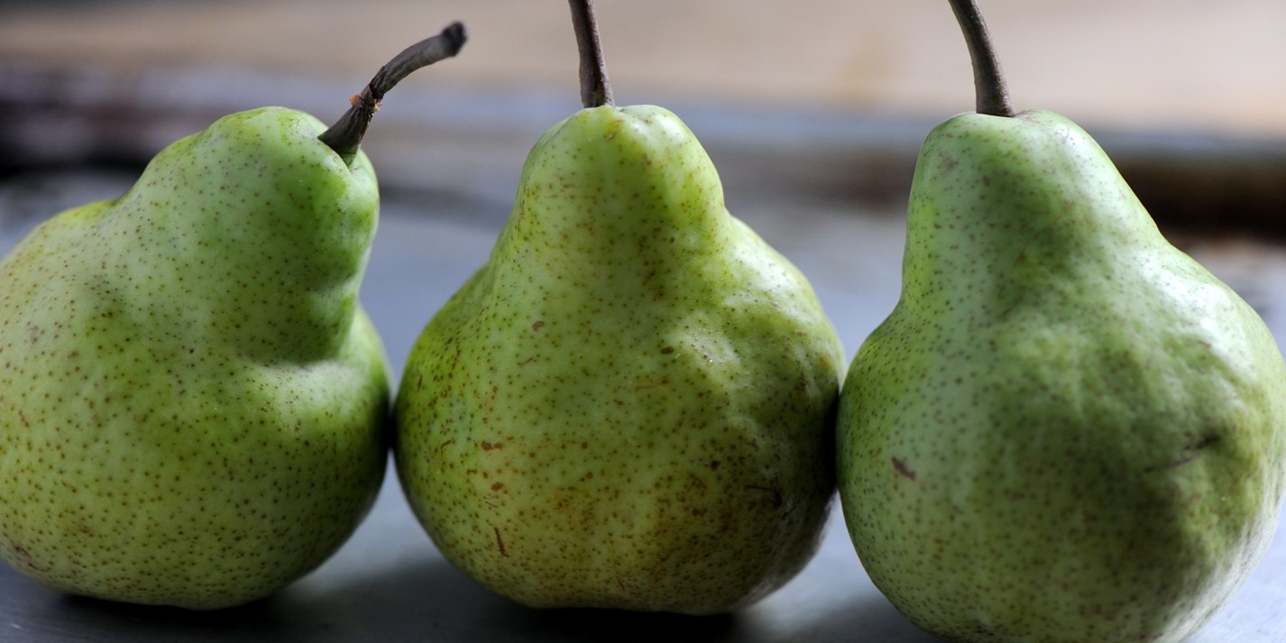 Differences in Pear Varieties | Stemilt