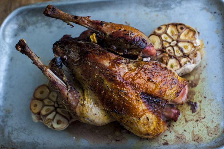 Fried pheasant recipes easy Fried pheasant recipes easy