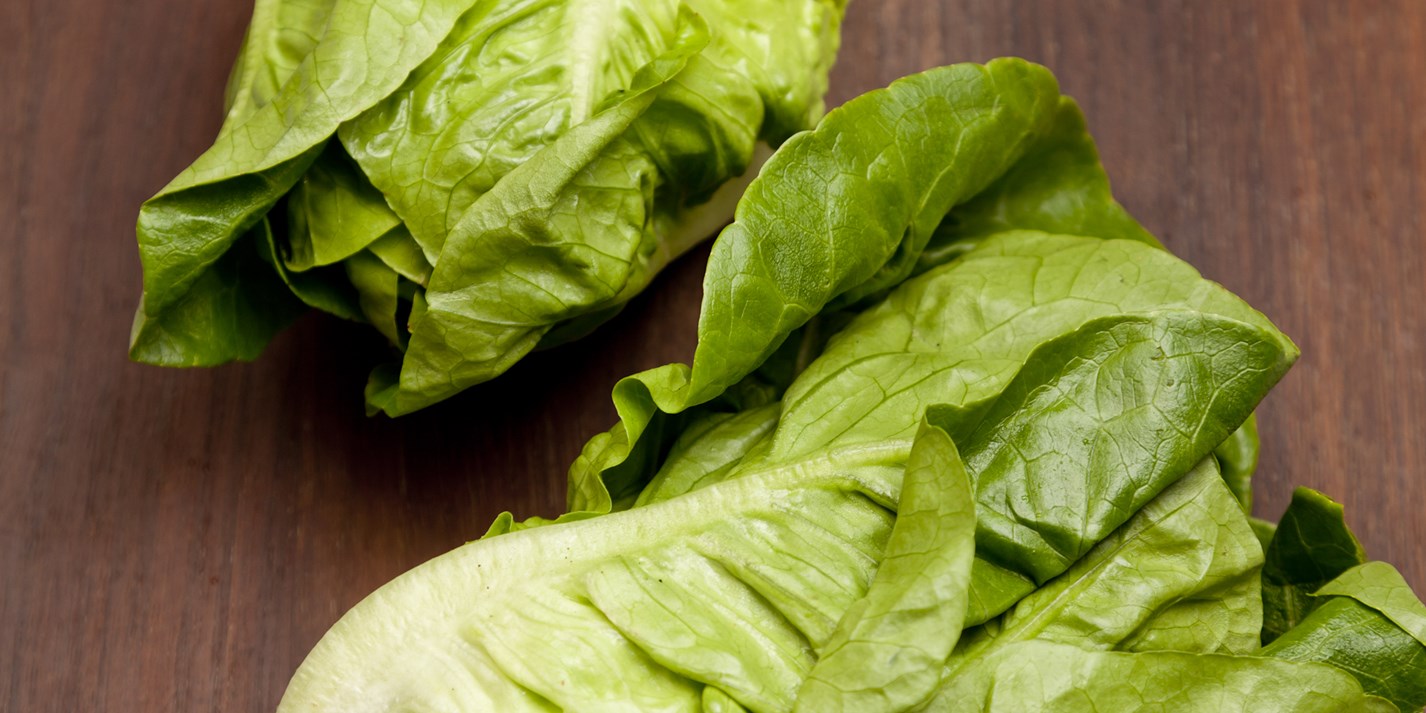 Lettuce Recipes Great British Chefs
