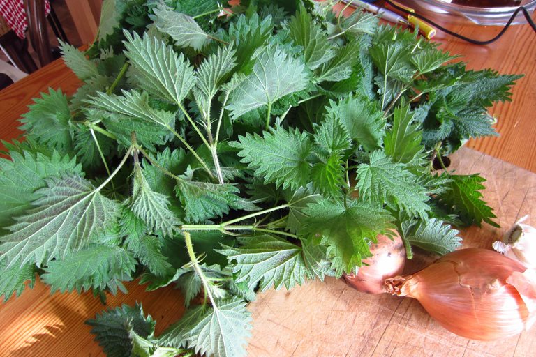 Nettle Beer Recipe Great British Chefs