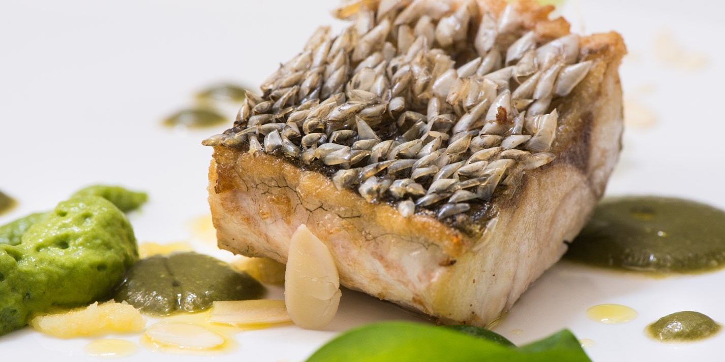 Crispy Sea Bass Recipe with Creamed Potato and Broccoli Mousse Great