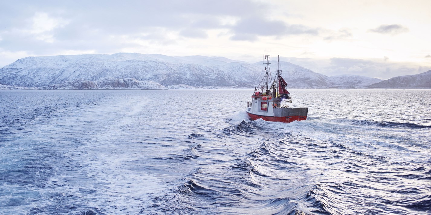 Skrei Norway's Famous Cod Great British Chefs