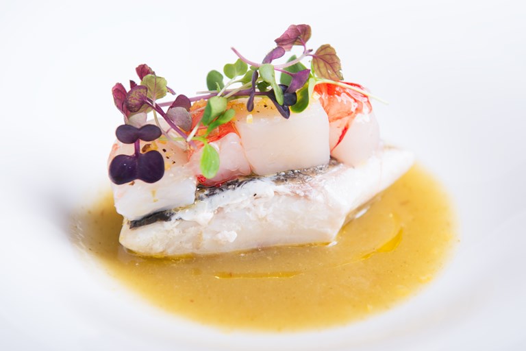 Sea Bass Recipe with Fennel and Apple Sauce - Great Italian Chefs