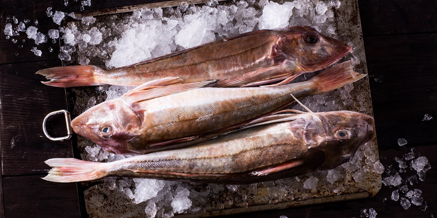 gurnard-recipes-stews-bouillabasse-great-british-chefs