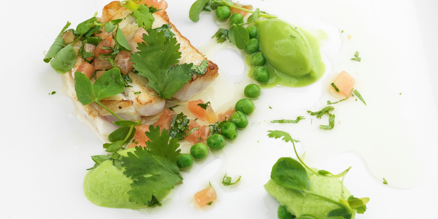 Halibut with Pea Recipe Great British Chefs