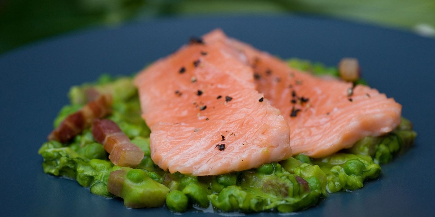 Confit of Salmon Recipe Great British Chefs