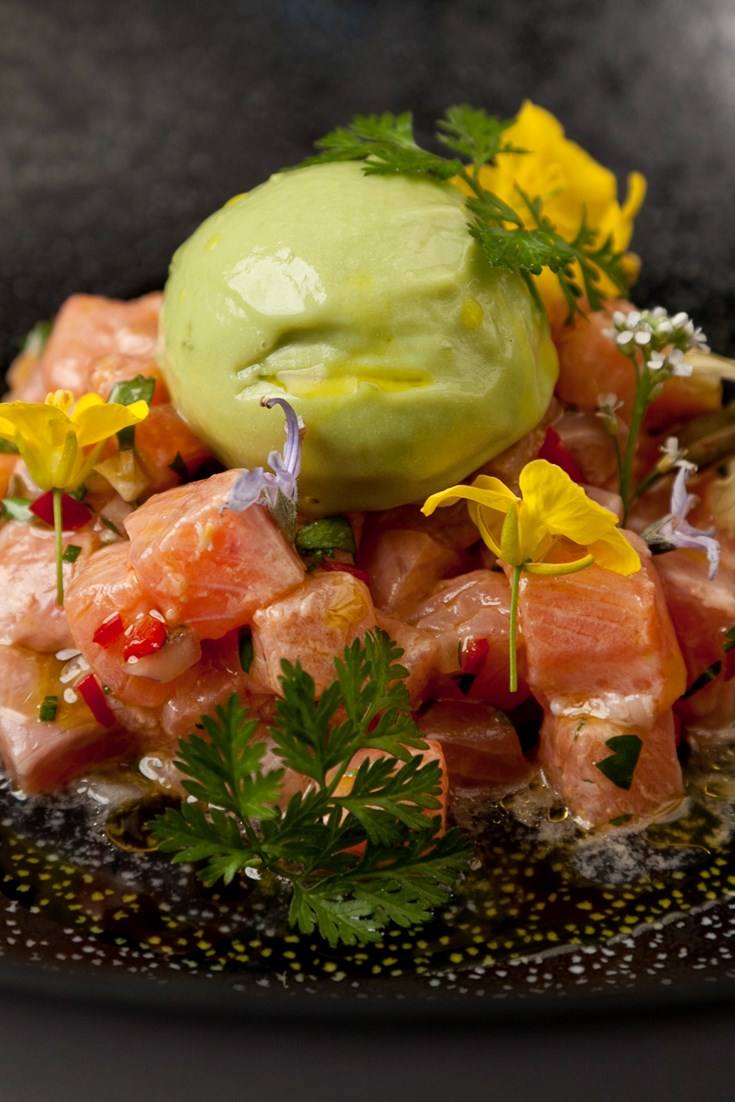 Trout Ceviche Recipe With Avocado Sorbet Great British Chefs