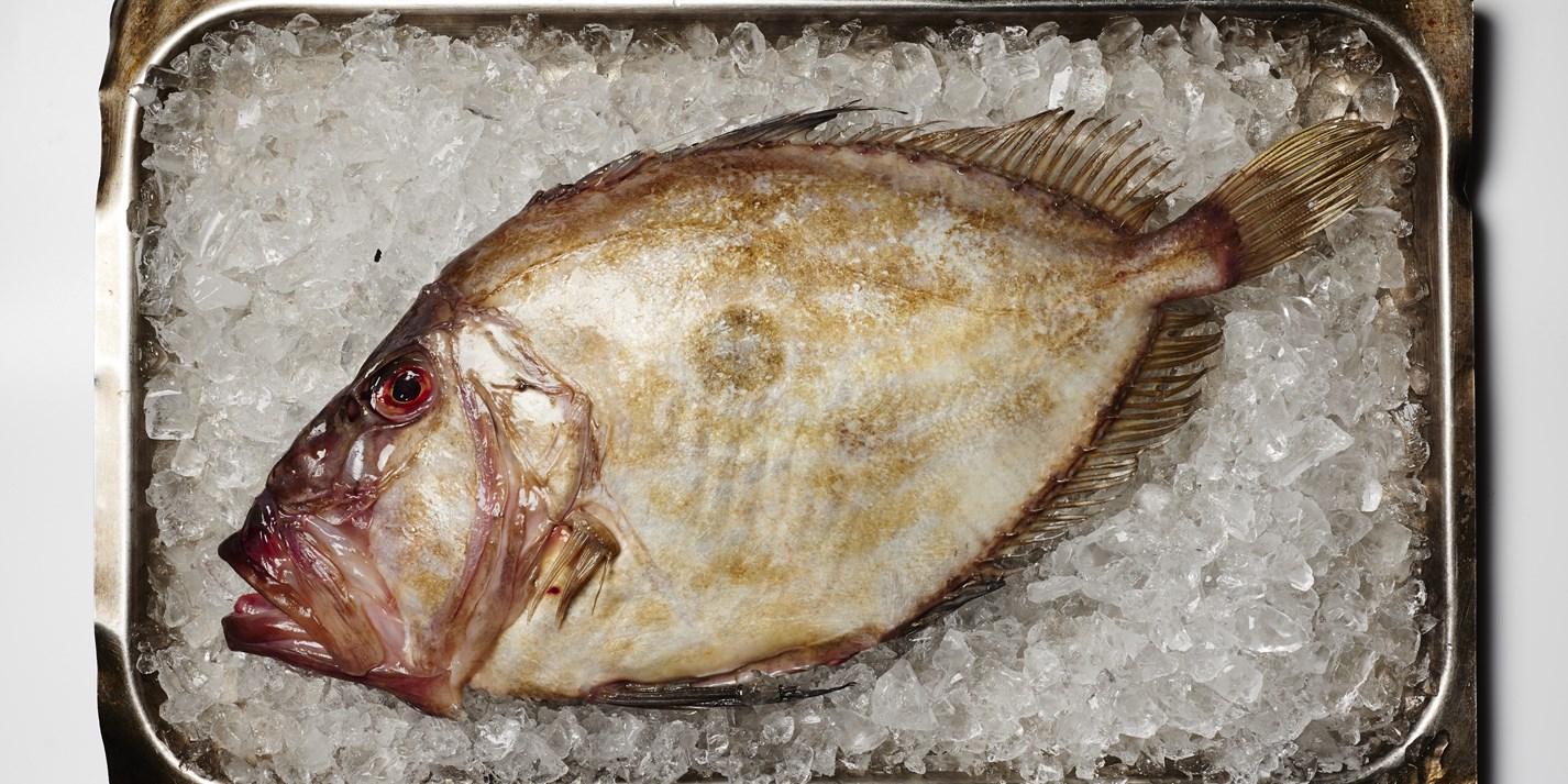 John Dory Recipes - Great British Chefs