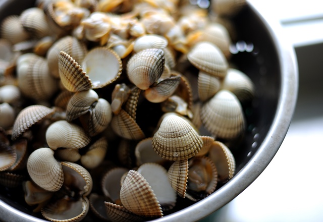 Featured image of post How to Make New Zealand Clams Cockles