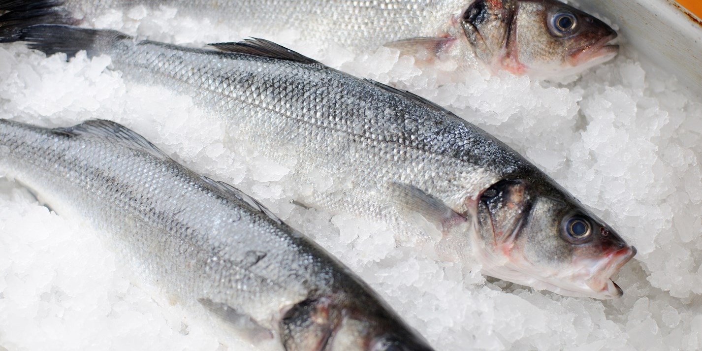 How to Cook Sea Bass Great British Chefs