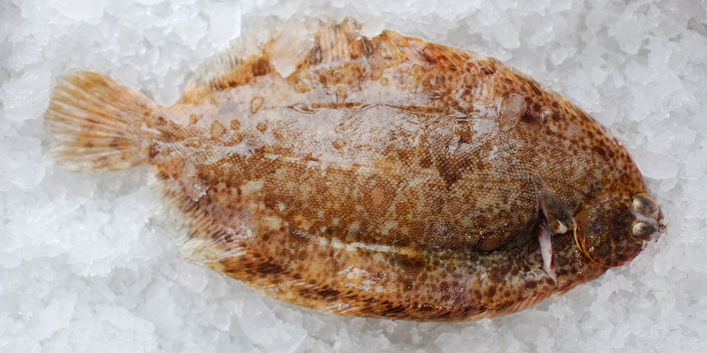 Sole Recipes Sole Benoit, Fish Pie, Dover Sole Great British Chefs