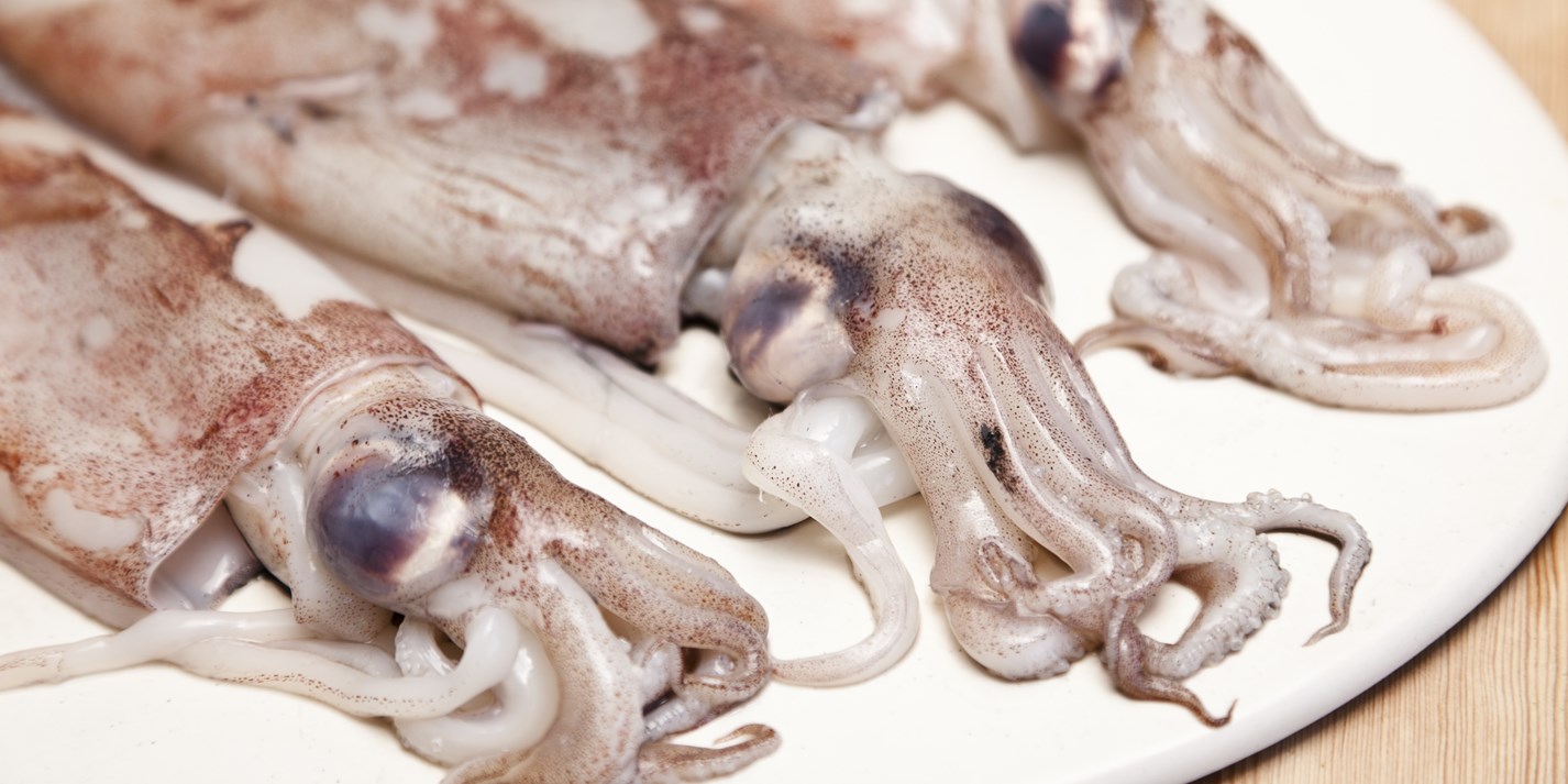 squid game cleaner squid game cleaner