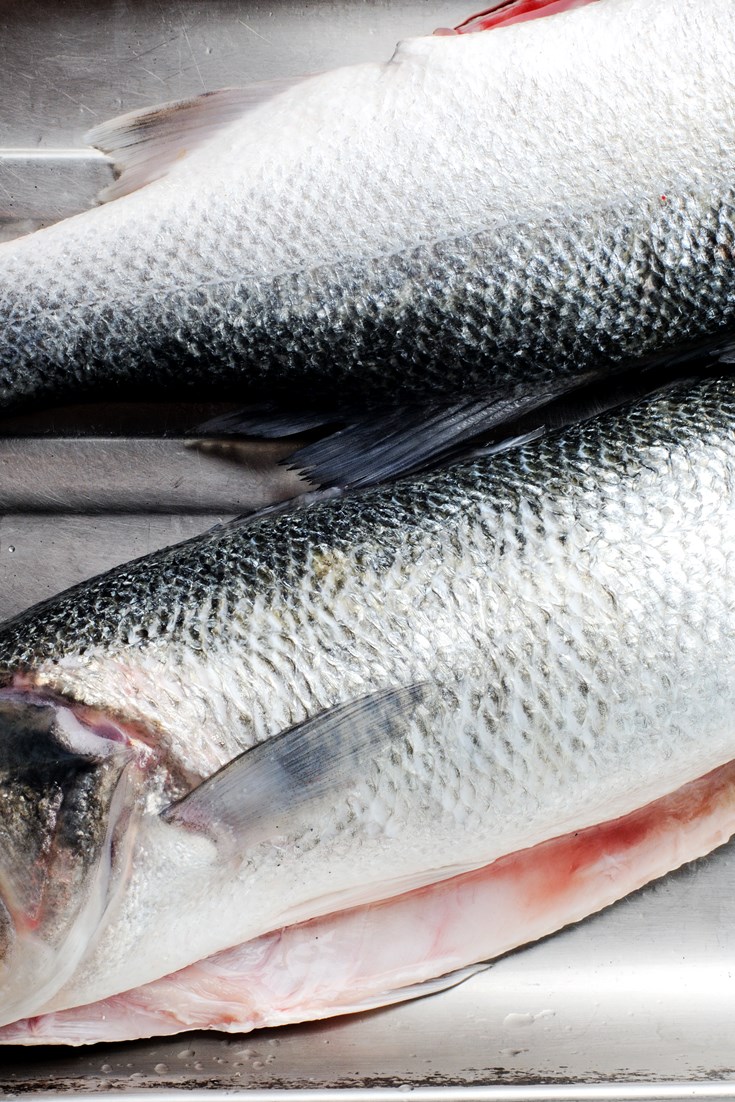 Sea Bass Recipes Grilled Sea Bass, Panroast Great British Chefs