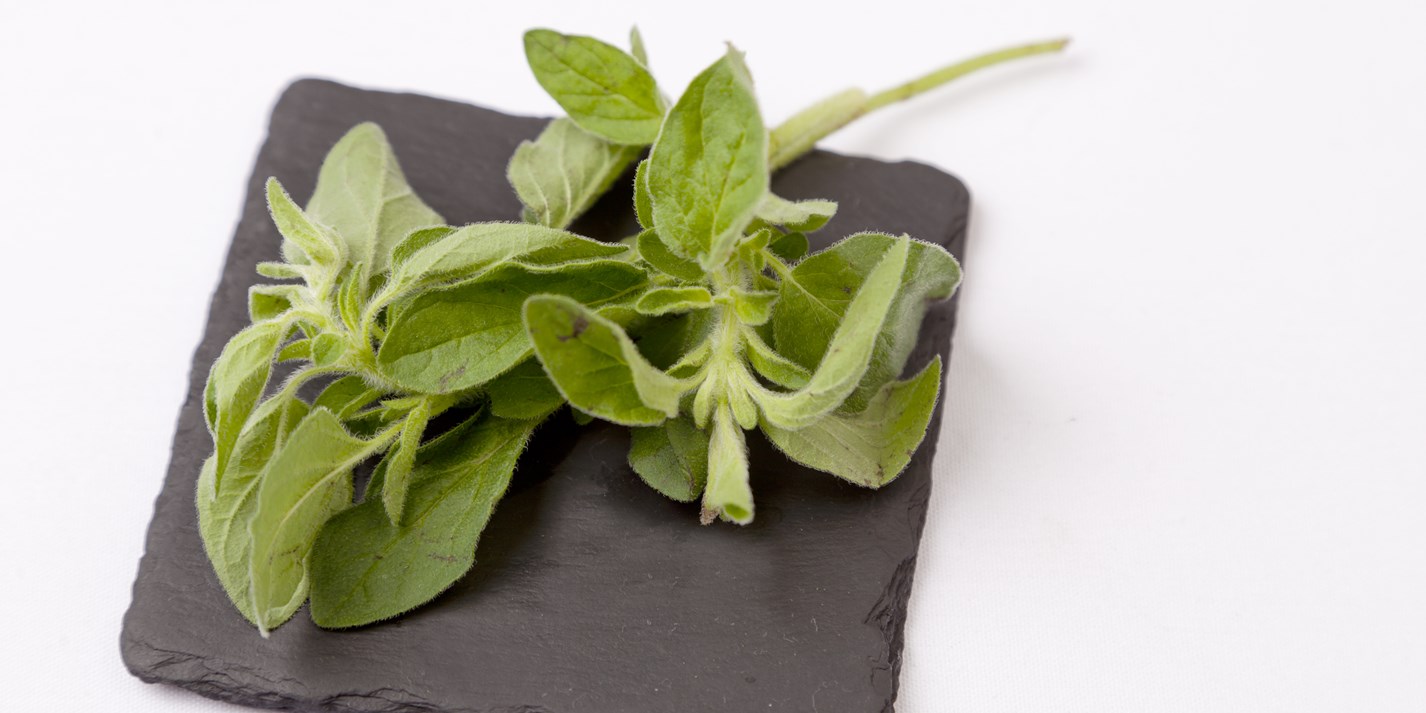 Marjoram Recipes Great British Chefs