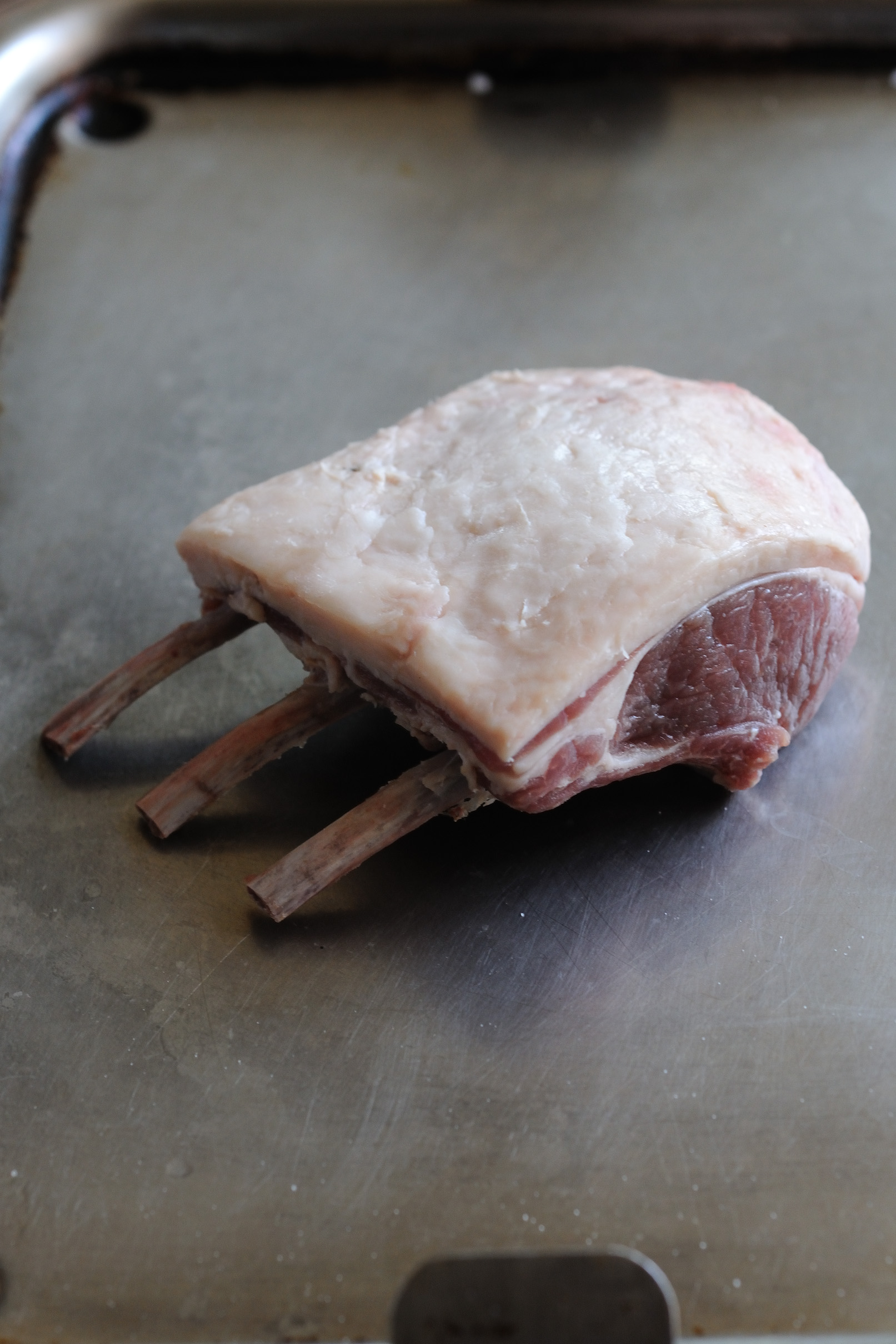 Lamb Frenched Rack Humanely Raised Wholesale Discounts, 46% OFF ...