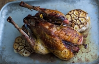 Pan-Fried Pheasant Breast Recipe with Sprouts - Great British Chefs