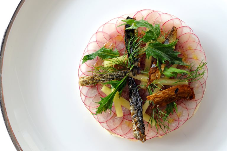 Mackerel Ceviche Recipe With Pickled Cucumber Great British Chefs