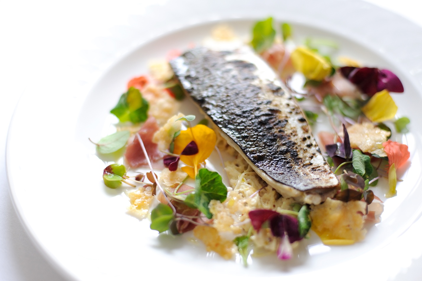 Paul Ainsworth Great British Chefs