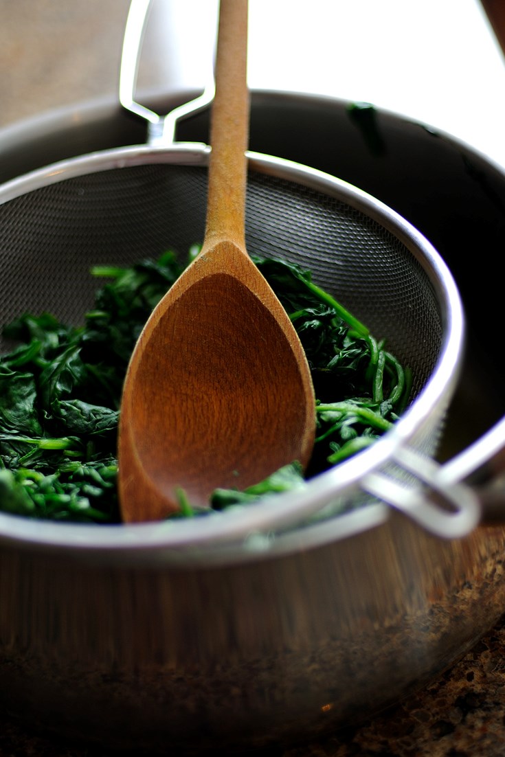 Spinach Recipes - Great Italian Chefs