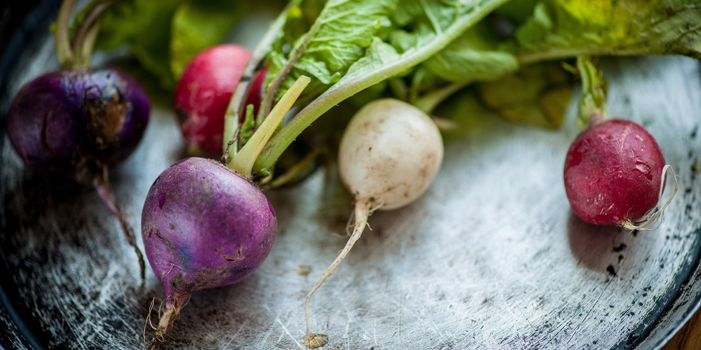 Radish Recipes Great British Chefs
