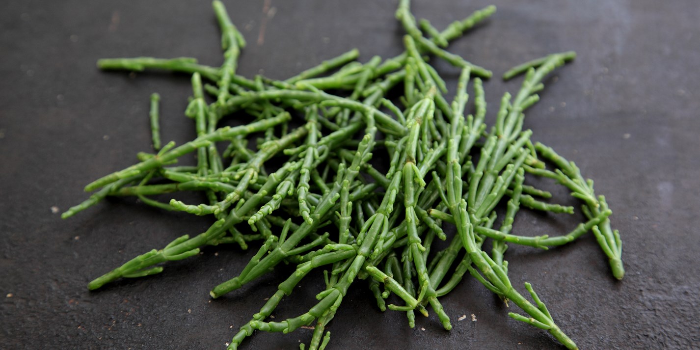 Samphire recipes - Great British Chefs