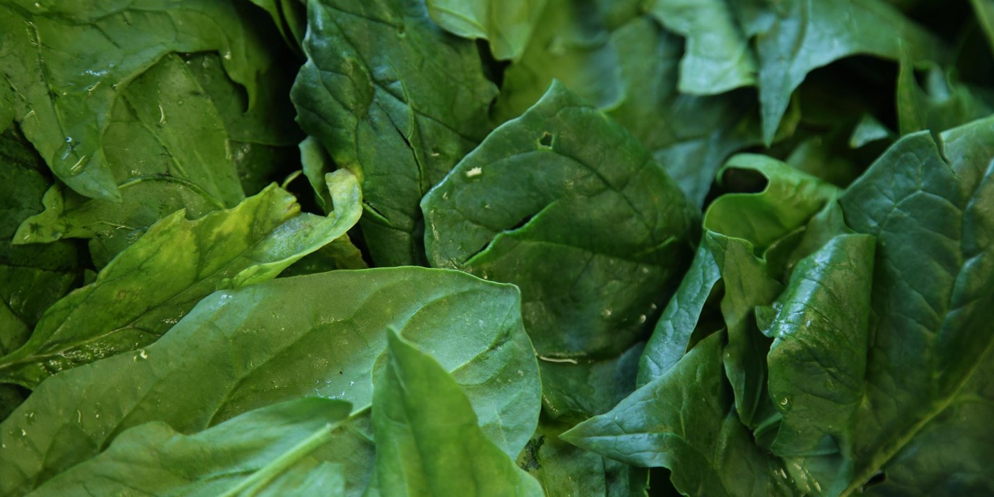 How to Cook Spinach Great British Chefs