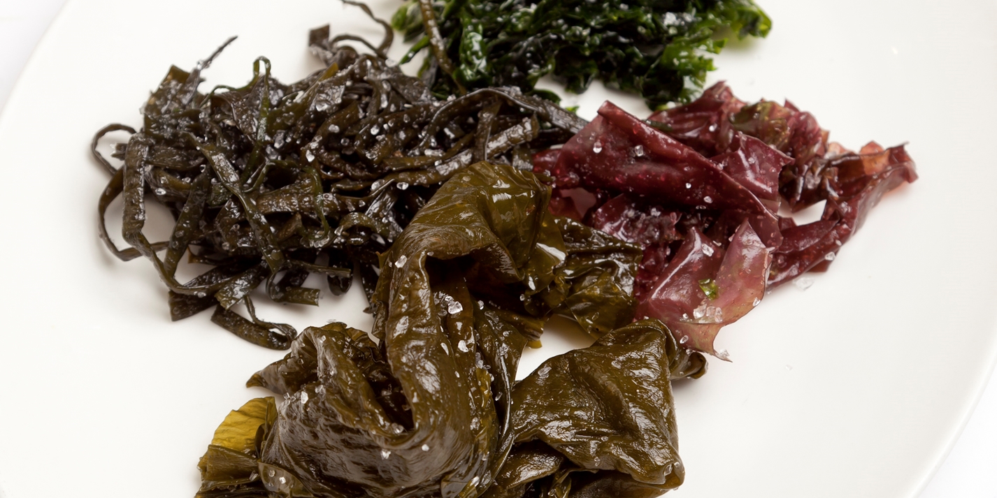 edible kelp used in japanese cooking