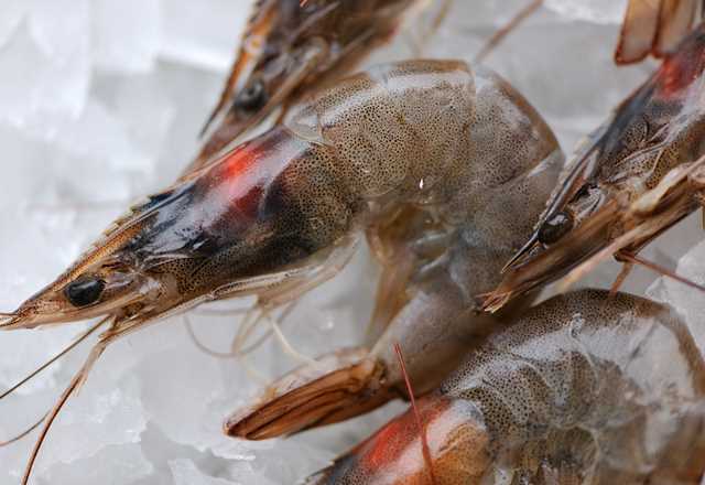 How To Cook Langoustine Great British Chefs