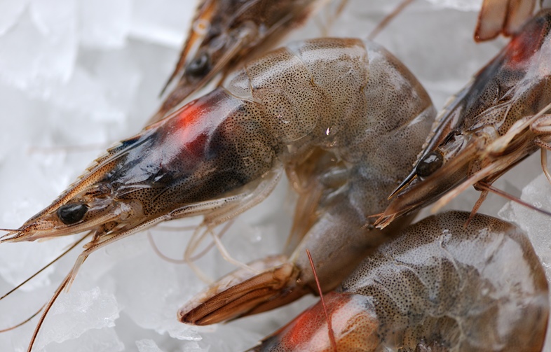 How To Cook Prawns Great British Chefs
