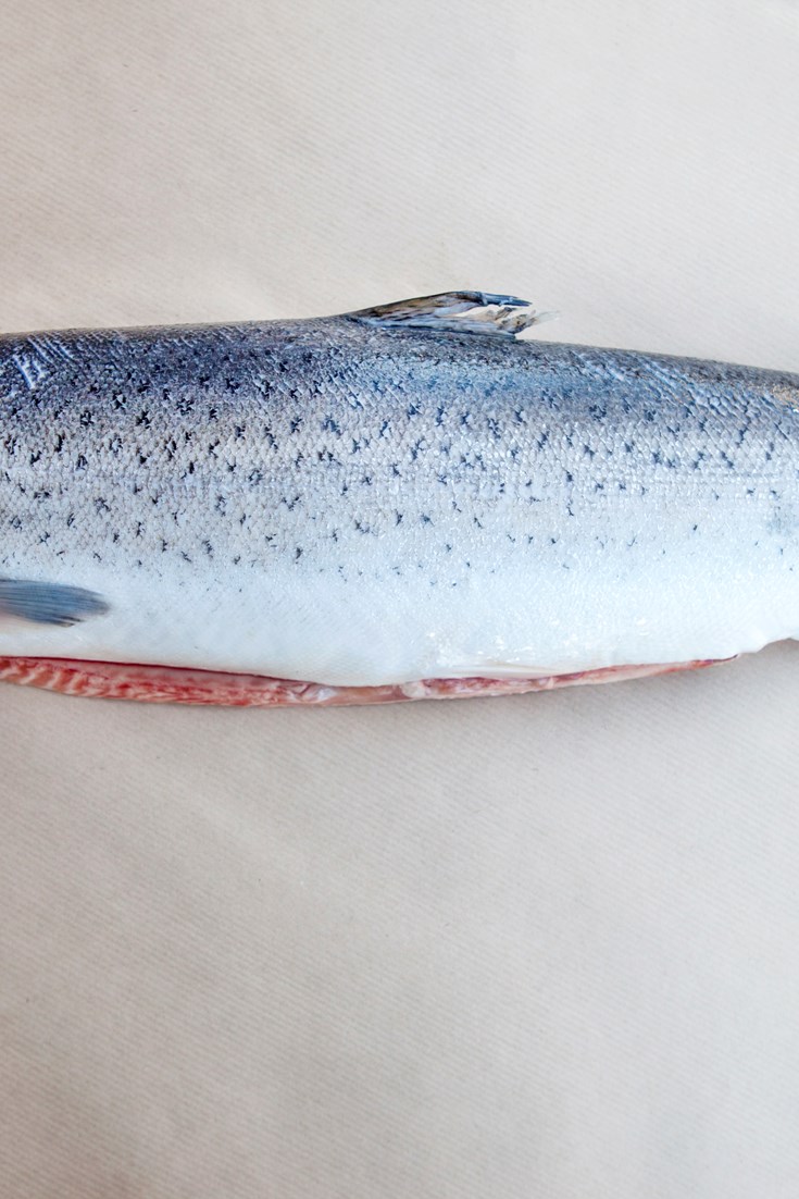 Sea Trout Recipes Great British Chefs