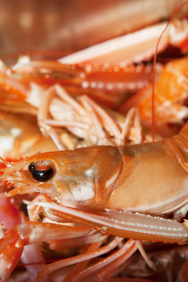 How to Cook Langoustine - Great British Chefs