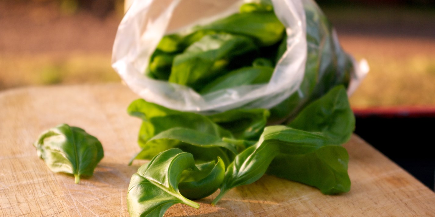 Basil Recipes Great Italian Chefs