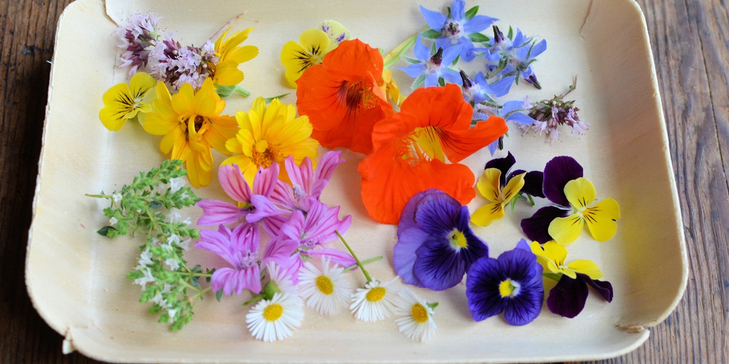 Edible Flower Recipes: Tulips, Roses and Herbs - Great ...