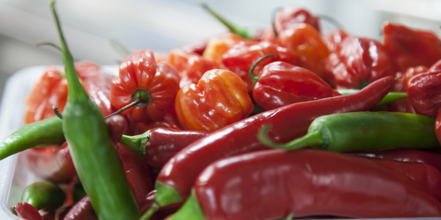 How to Cook Wiith Chilli Great British Chefs