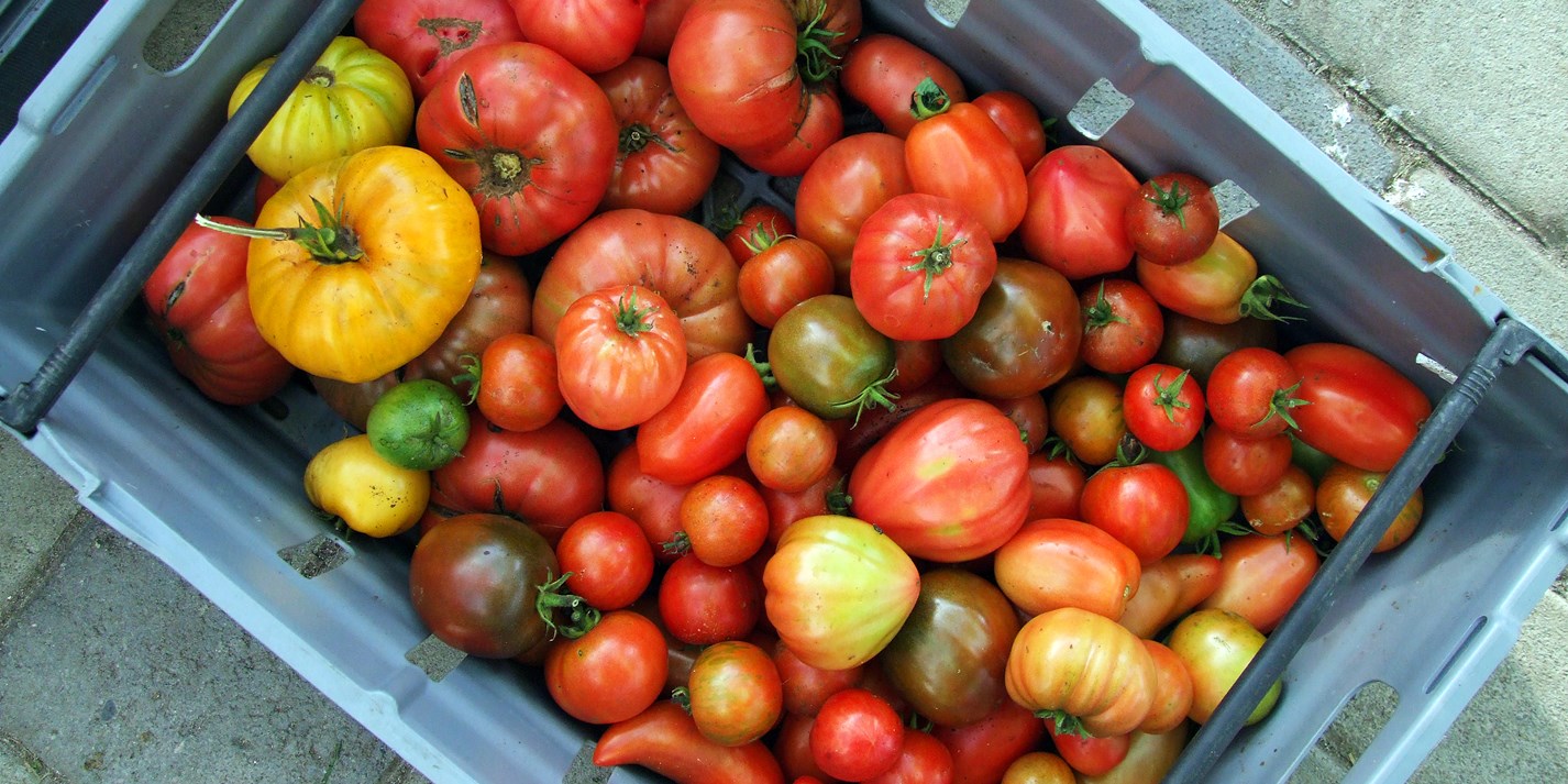 Italian Tomato Recipes - Great Italian Chefs