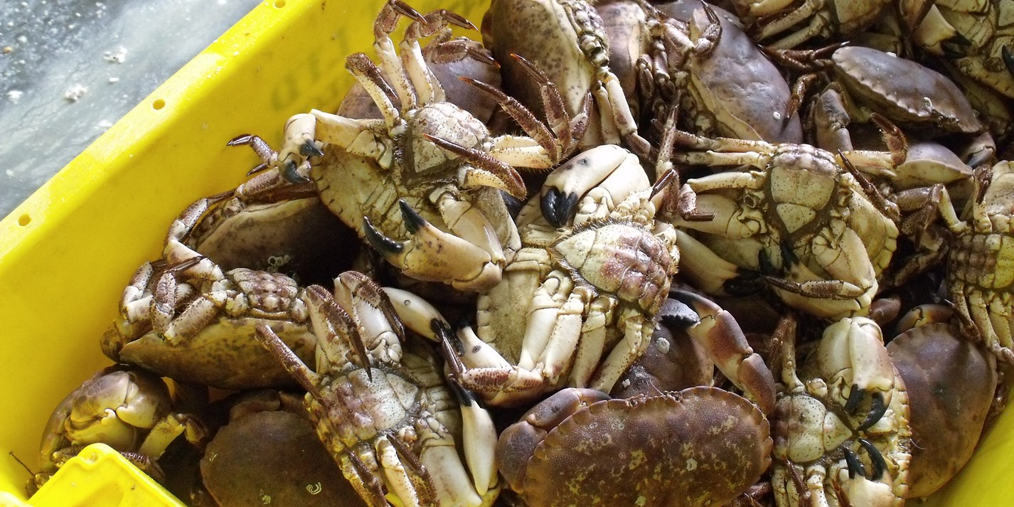 Whitby Crab Company - Great British Chefs