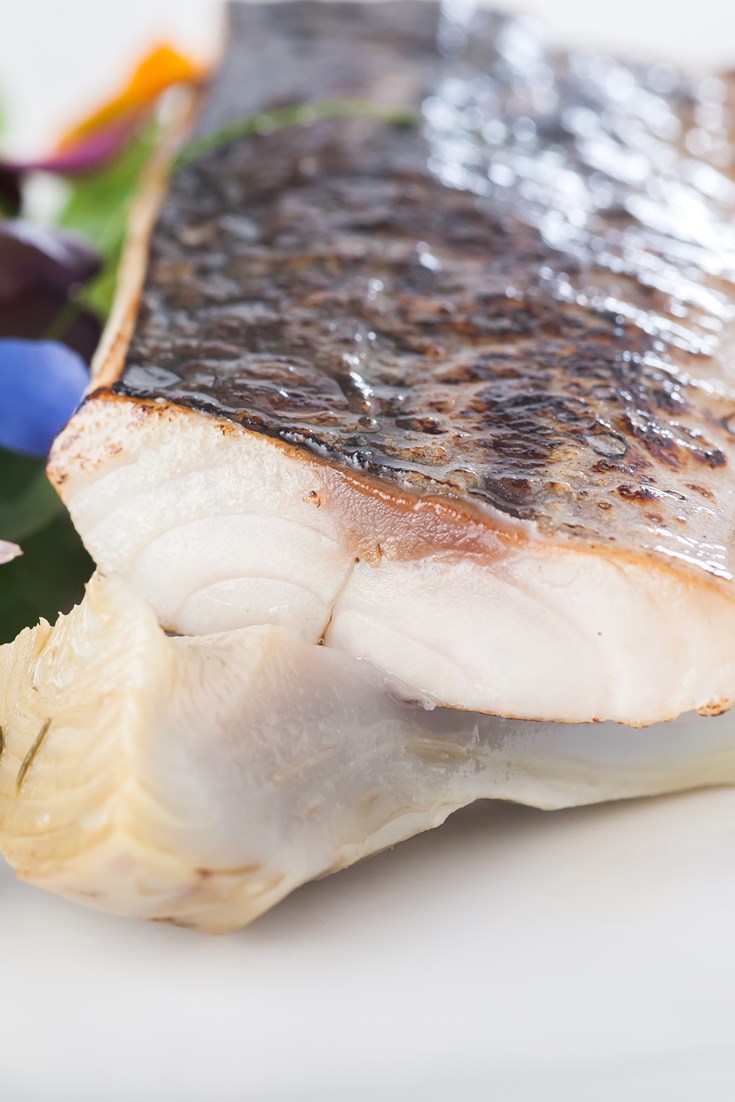 How to Cook Mackerel Sous Vide Great British Chefs