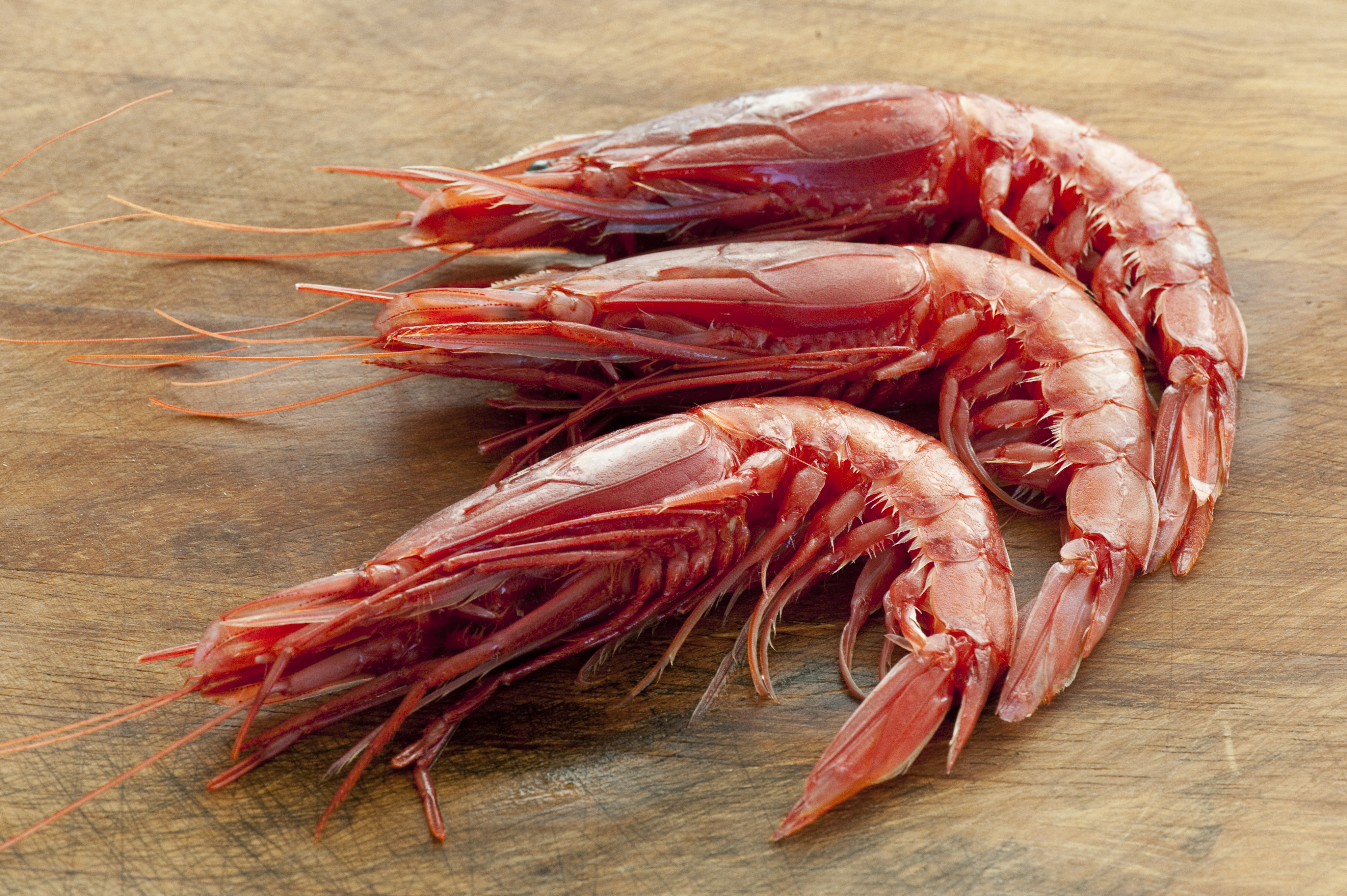 Red Prawn Recipe with Coconut - Great 