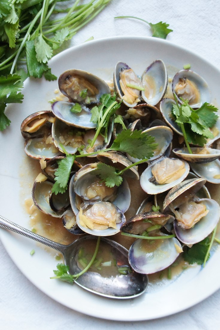 Clam Recipes Great British Chefs