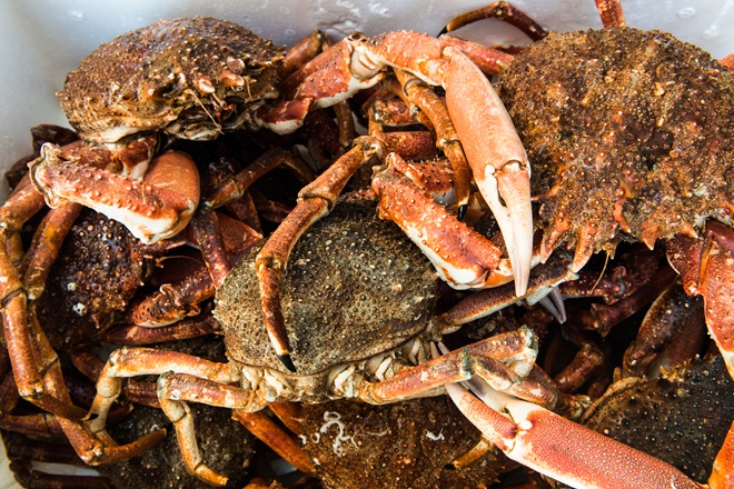 How to Remove Meat From a Crab - Great British Chefs