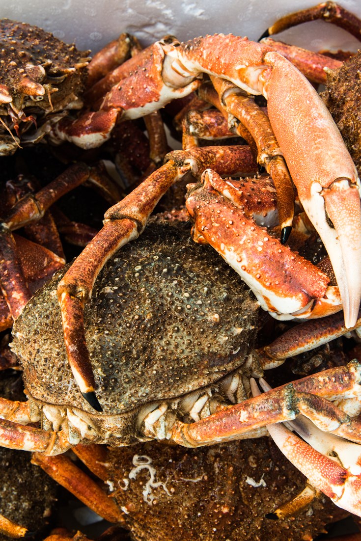 How to cook crab great british chefs