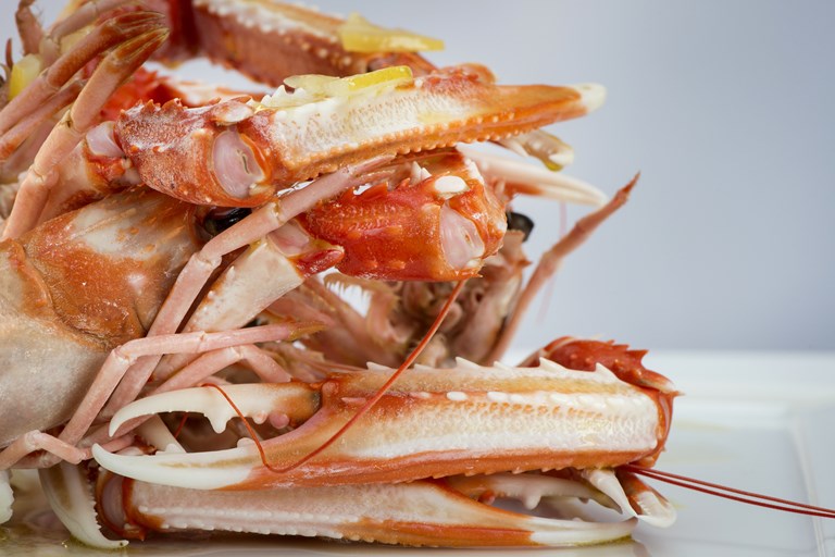 Steamed Langoustine Recipe - Great Italian Chefs