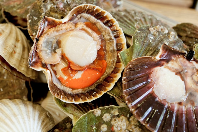 Scallop Carpaccio Recipe & Truffle Vinaigrette - Great British Chefs