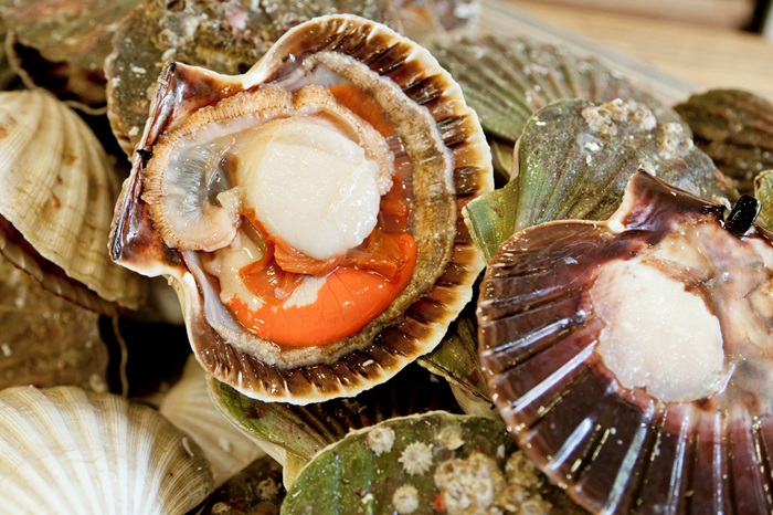 How long should you cook scallops