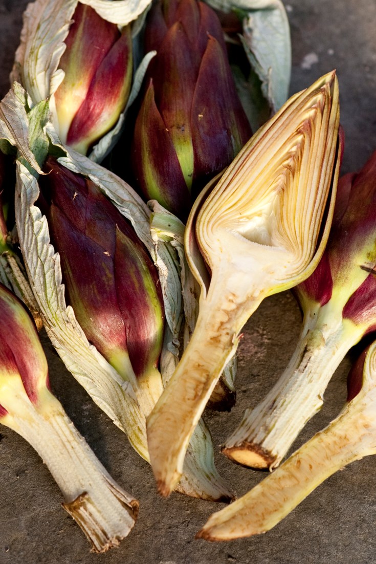 Artichoke Recipes Great Italian Chefs