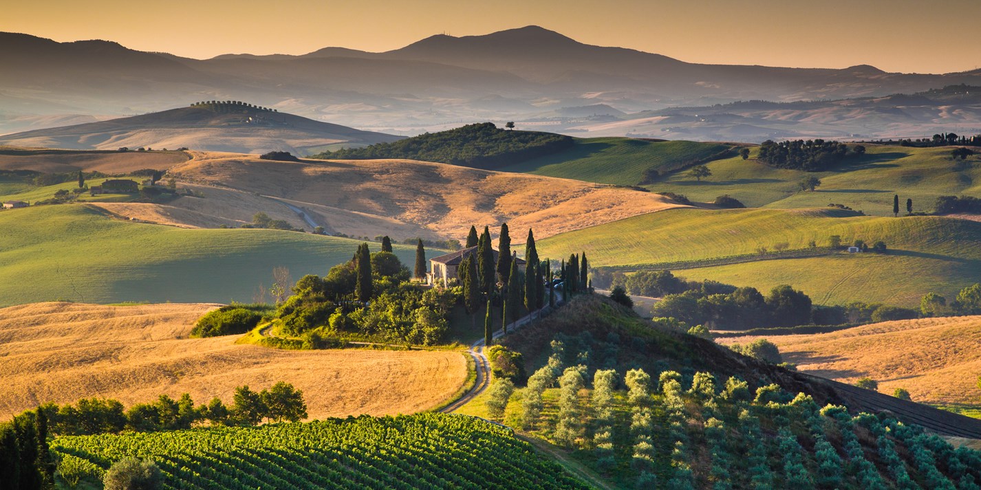 The Best Wines In Tuscany Great Italian Chefs