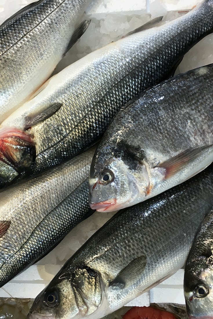 Fish Recipes Great British Chefs