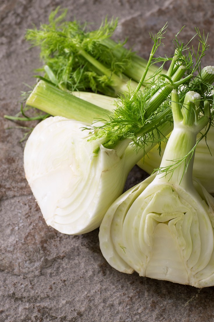 How to Cook Fennel - Great British Chefs
